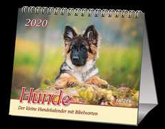 Hunde 2020 - 2 in 1-Tischkalender