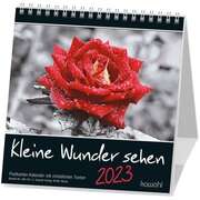 Kleine Wunder sehen 2023 Kleine Wunder sehen 2023