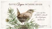 Schokoladengrüsse "Gottes Segen wünsche ich Dir" (40g) Schokoladengrüsse "Gottes Segen wünsche ich Dir" (40g)
