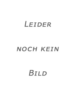Andrew Newton - Mario Gushiken - Lydia Hablützel - Meine Such- und Wimmelbibel - Weihnachten Meine Such- und Wimmelbibel - Weihnachten