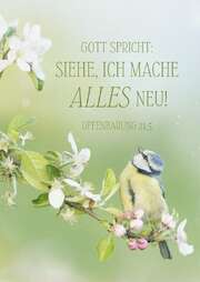 Jahreslosung 2026 - Postkarten "Vogel" 12 Stück Jahreslosung 2026 - Postkarten "Vogel" 12 Stück