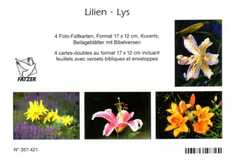 Faltkartenbox Lilien, 4 Stück