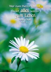 Postkarten: Wer zum Herrn kommt, 4 Stück Postkarten: Wer zum Herrn kommt, 4 Stück
