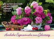 Postkarten Geburtstag, 6 Stück Postkarten Geburtstag, 6 Stück