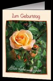 Faltkarten Geburtstag, 5 Stück Faltkarten Geburtstag, 5 Stück