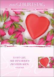Postkartenserie Geburtstag - 12 Stück Postkartenserie Geburtstag - 12 Stück