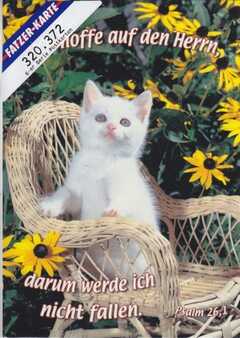 Postkarten Kätzchen, 6 Stück