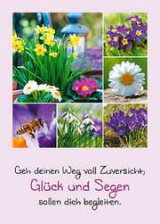 Postkarten: Geh deinen Weg, 4 Stück Postkarten: Geh deinen Weg, 4 Stück